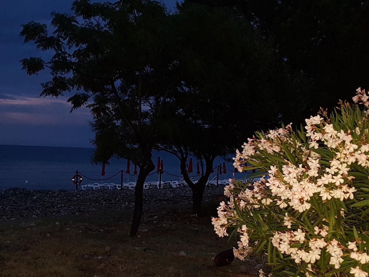 Bed and Breakfast Bed&breakfast Marilena Montegiordano Exterior foto